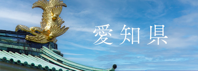 あいち環境イノベーションプロジェクト